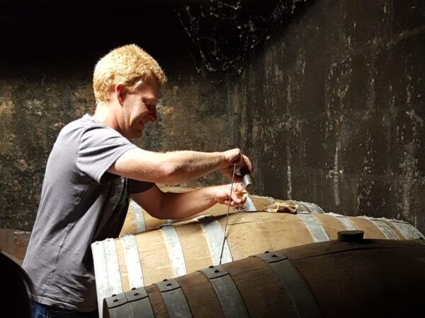 Cognac Distillery and Bordeaux Winery: Private Tour - Questions You May Have