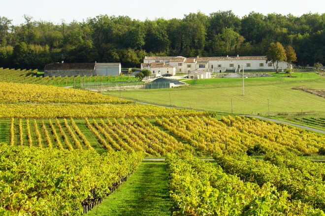 Cognac Masterclass & Tasting - Booking Information