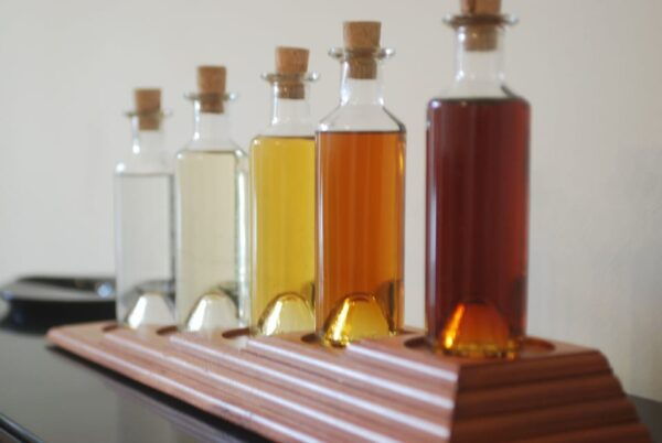 Cognac Masterclass & Tasting - Tasting Highlights