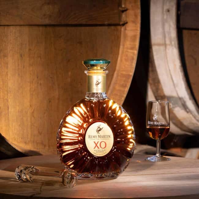 Cognac: Rémy Martin 300th Anniversary Tour - An In-Depth Look at the Rémy Martin 300th Anniversary Tour  