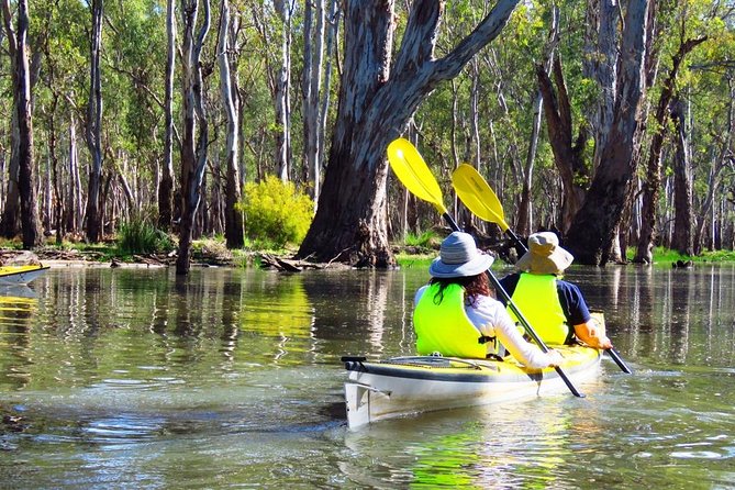 Cohuna Lagoon 3 Hour Kayak Eco Tour - Guided Kayaking in a Natural Habitat