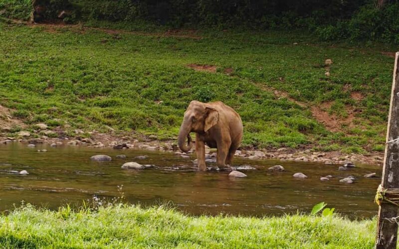 Coimbatore: Kerala Hills Day Trip with Jeep Safari & Lunch - Exploring the Kerala Hills Day Trip: An Honest Breakdown