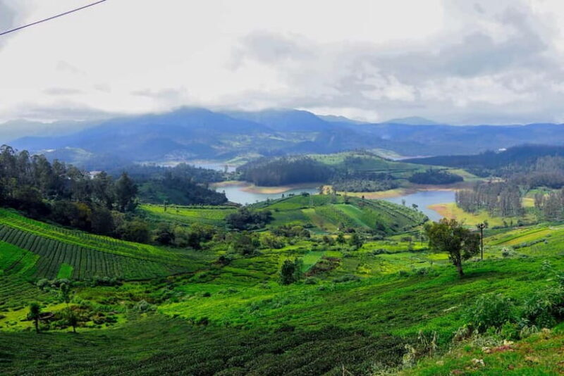 Coimbatore: Ooty Day Trip with Private Cab - Good To Know