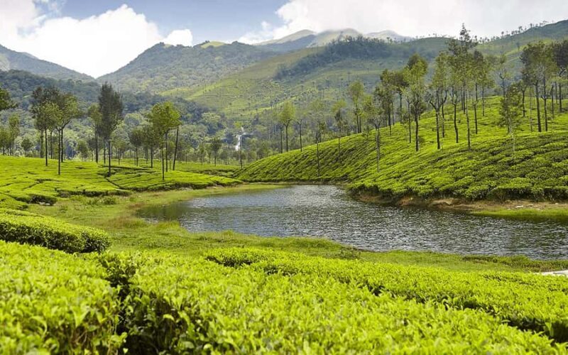 Coimbatore to Coconut Village Day Tour  Nature & Culture - Wrap-up and Drop-off