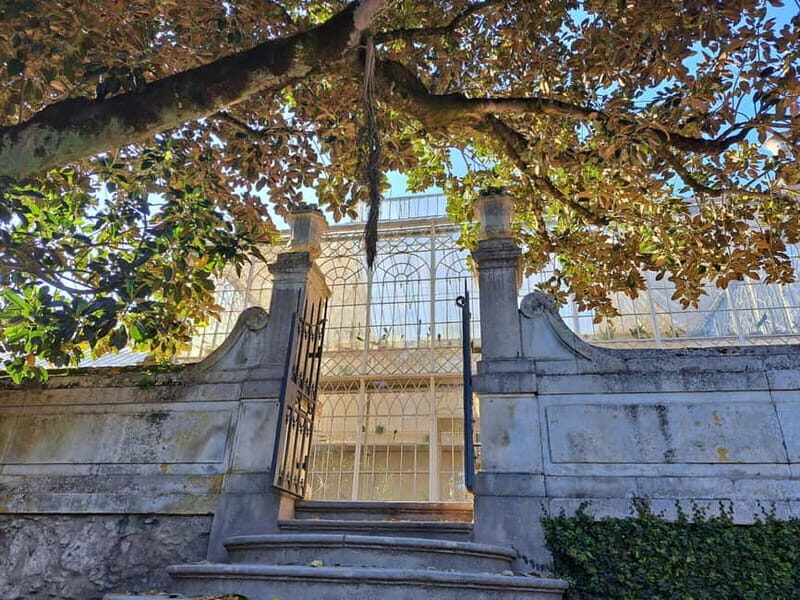 Coimbra Botanical Garden Tour: Storytelling Through Nature - Good To Know