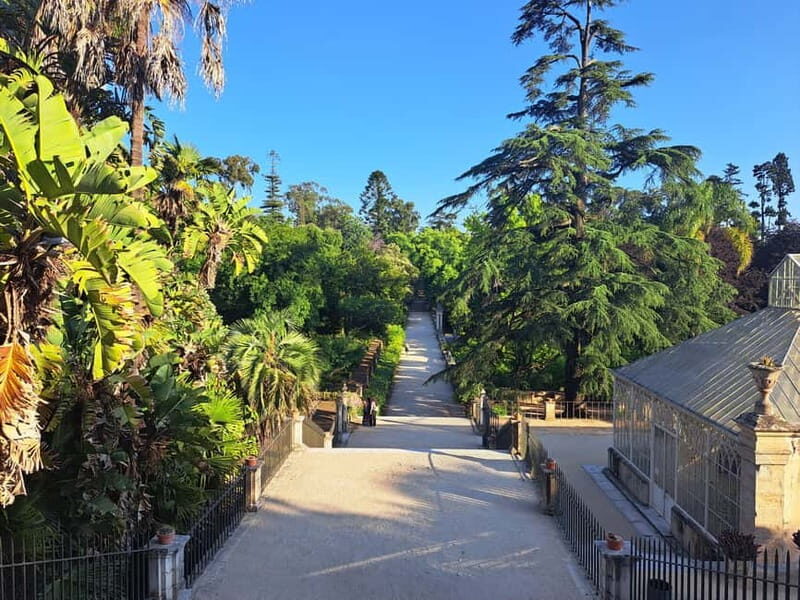 Coimbra Botanical Garden Tour: Storytelling Through Nature - An Engaging Walk Through Coimbra’s Botanical Treasures