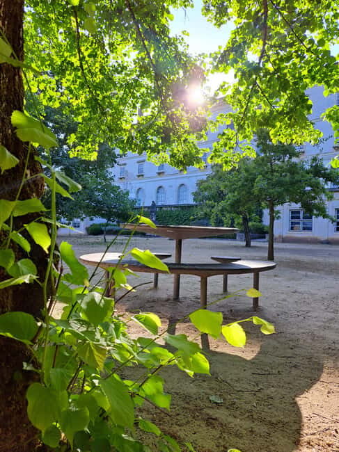 Coimbra Botanical Garden Tour: Storytelling Through Nature - FAQs