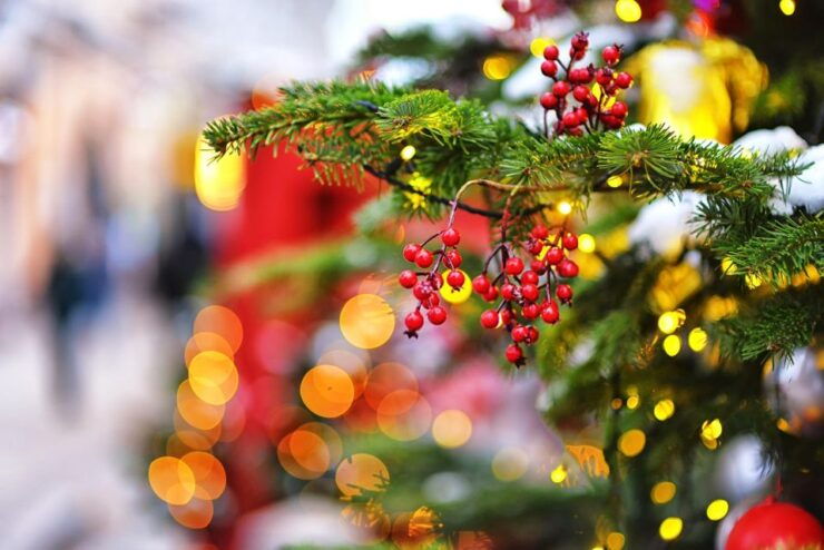 Coimbra Christmas Magic: A Festive Family Exploration - Tour Details