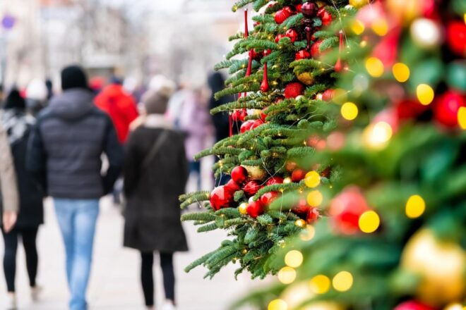 Coimbra Christmas Magic: A Festive Family Exploration - Cancellation Policy