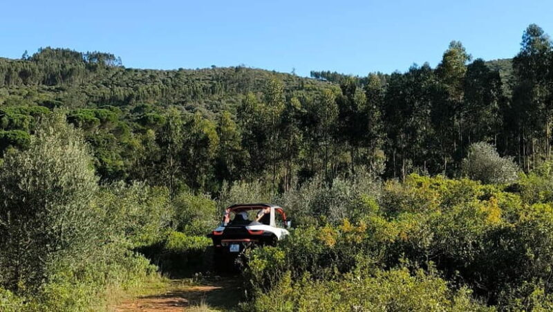 Coimbra - Condeixa: 120-minute Off-road Buggy Adventure - The Sum Up