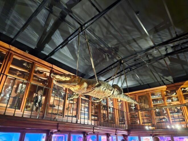 COIMBRA FULL DAY PRIVATE TOUR FROM LISBON - Historical Sites