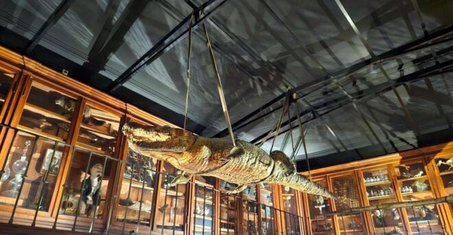 COIMBRA FULL DAY PRIVATE TOUR FROM PORTO - Itinerary