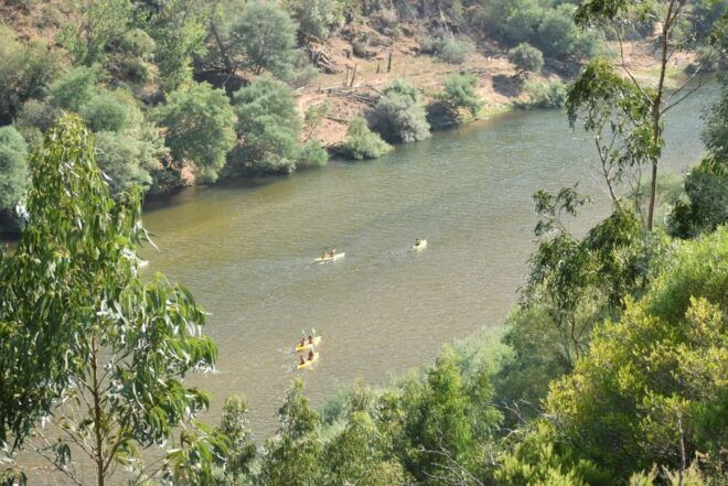 Coimbra: Mondego River Kayaking Tour - Additional Information