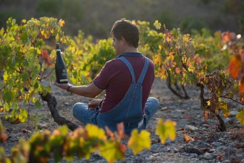 Coimbra: Prior Lucas Wine Experience - What Makes the Prior Lucas Wine Experience Worth It?