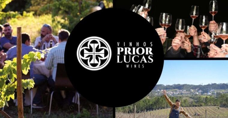 Coimbra: Prior Lucas Wine Experience - Practical Details and Tips