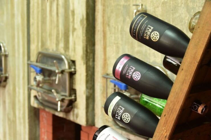 Coimbra: Prior Lucas Winery and Vineyard Visit With Tastings - Booking Details