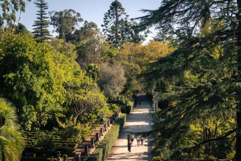 Coimbra: Private & Flexible Walking Tour in Historic Center - Practical Details and Tips
