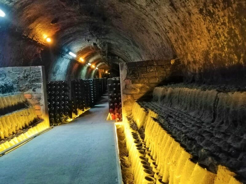 Coimbra: Rota da Bairrada gastronomic tour - Good To Know