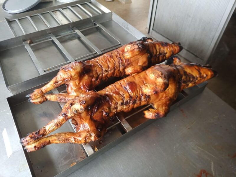 Coimbra: Rota da Bairrada gastronomic tour - What to Expect: An Authentic Day in Bairrada
