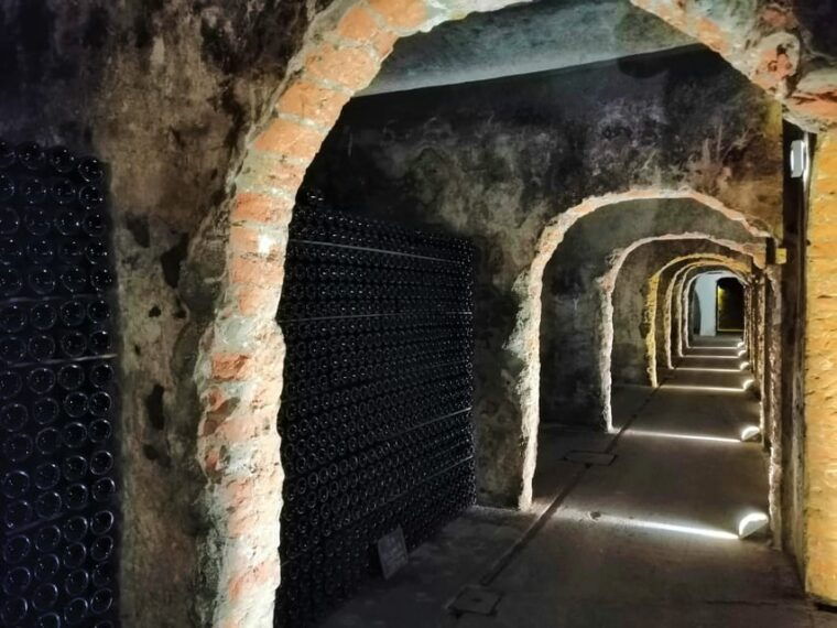 Coimbra: Rota da Bairrada gastronomic tour - FAQs: Your Practical Questions Answered