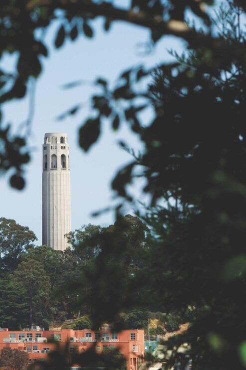 Coit Tower & Little Italy Landmark Walking Tour - Activity Features