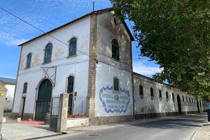 Colares Wine Tasting With Sintra and Cabo Da Roca Half Day - Colares Wine Tasting