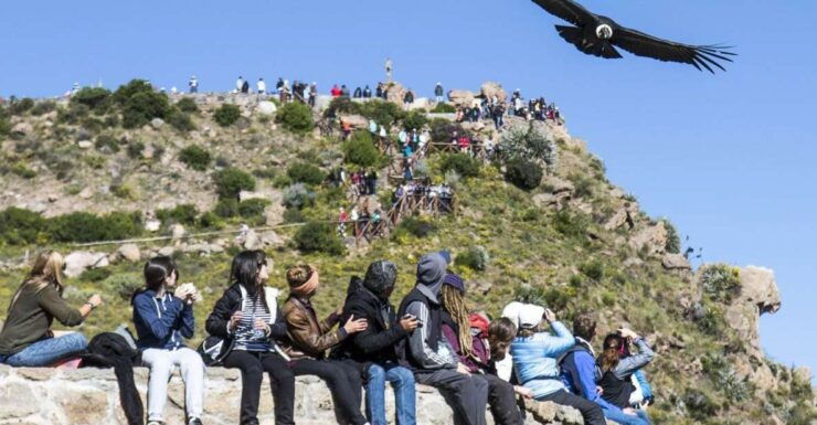 Colca Canyon: 2-Day Tour From Arequipa to Puno - Tour Duration and Guide Information
