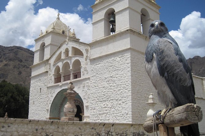 Colca Canyon – 2 Days / 1 Night - Pricing and Booking Details
