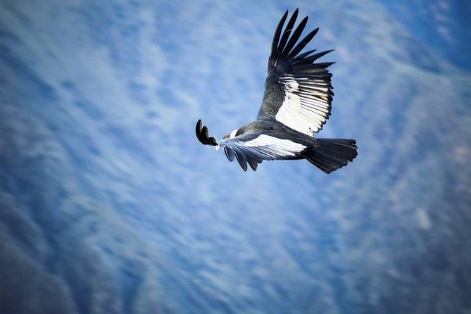 Colca Canyon Sightseeing Tour 2-Day 1-Night - Traditional Villages Experience