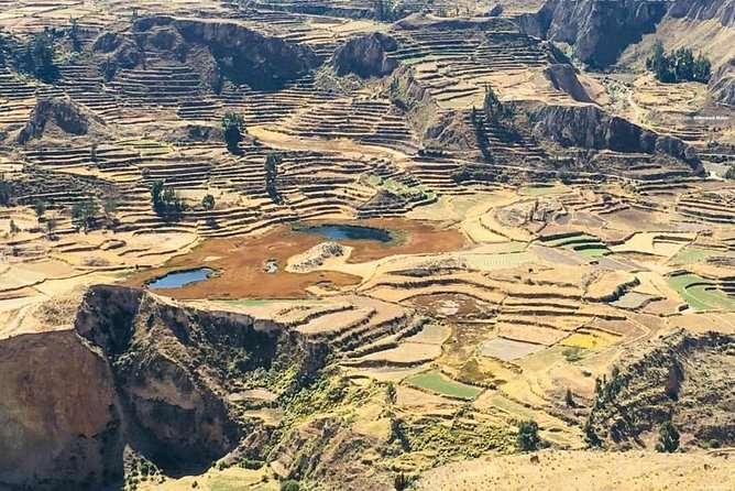 Colca Canyon Sightseeing Tour 2-Day 1-Night - Cancellation Policy