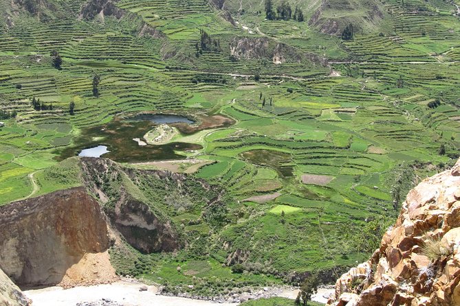 Colca Canyon Sightseeing Tour 2-Day 1-Night - Traveler Reviews and Highlights