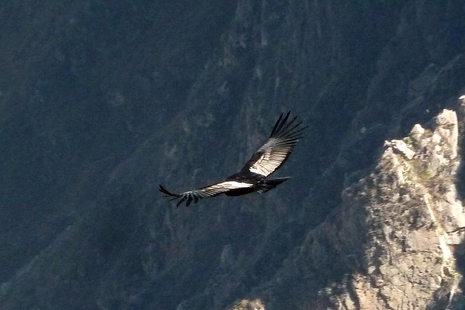 Colca Canyon Tour 2 Days - Itinerary Overview