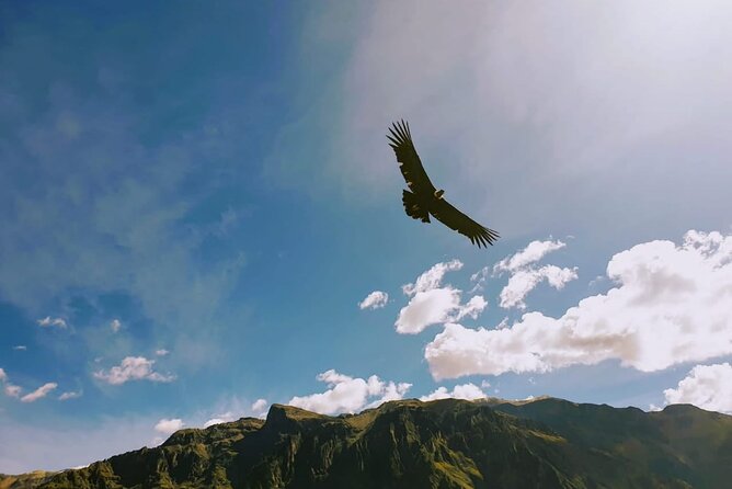 Colca Canyon Tour 2 Days - Transportation Details