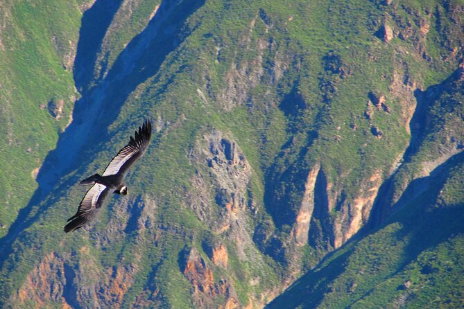 Colca Canyon Tour 2d Short Hiking +Overnight in Small Village Ending in Arequipa - Frequently Asked Questions
