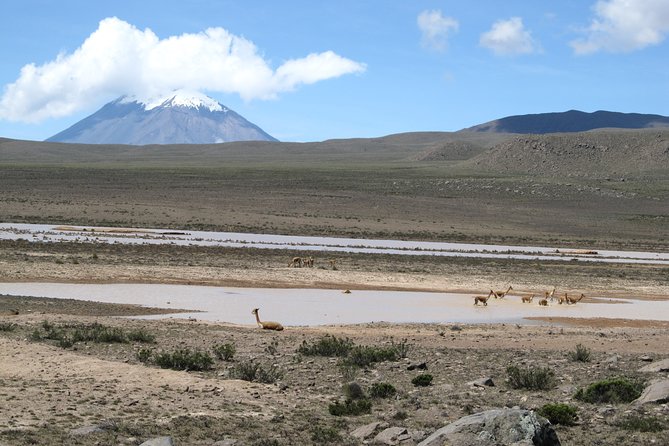 Colca Canyon Tour 2d Short Hiking Overnight in Small Village Ending in Puno - Itinerary
