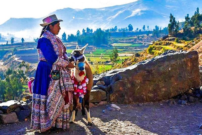 Colca Full Day - Tour Highlights