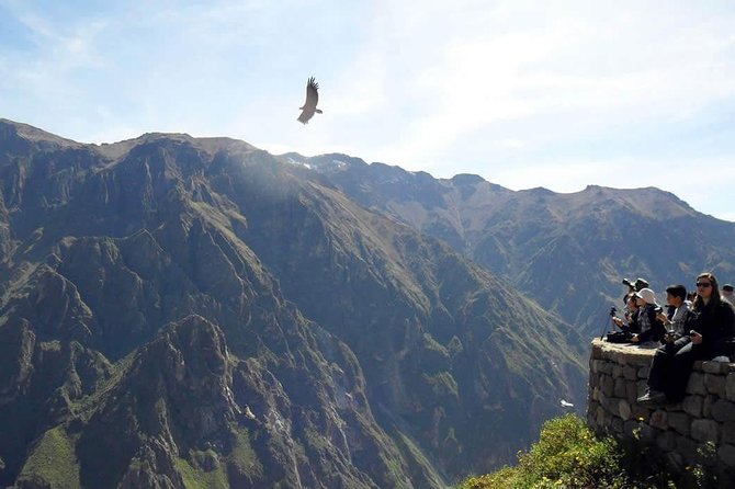 Colca Full Day - Price and Booking