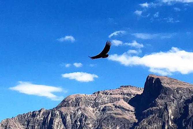 Colca Full Day Group Tour - Important Details