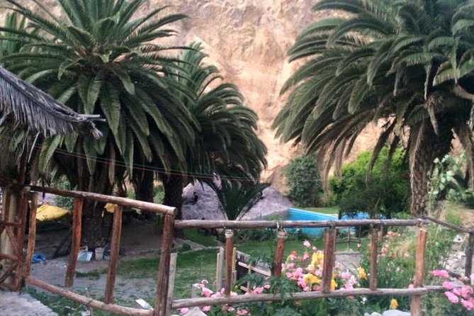 Colca Trek 3 Days - The Sum Up
