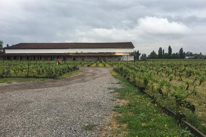 Colchagua Valley - Directions to Colchagua Valley
