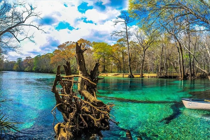 Cold Spring Kayak or Canoe Eco Tour With Snorkeling, Swimming  - Panama City Beach - Tour Details and Activities