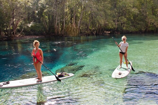 Cold Spring Kayak or Canoe Eco Tour With Snorkeling, Swimming  - Panama City Beach - Common Questions