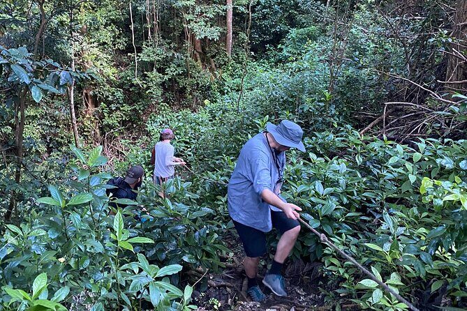 Cole's Cave Spelunking Adventure - Who Would Love It?