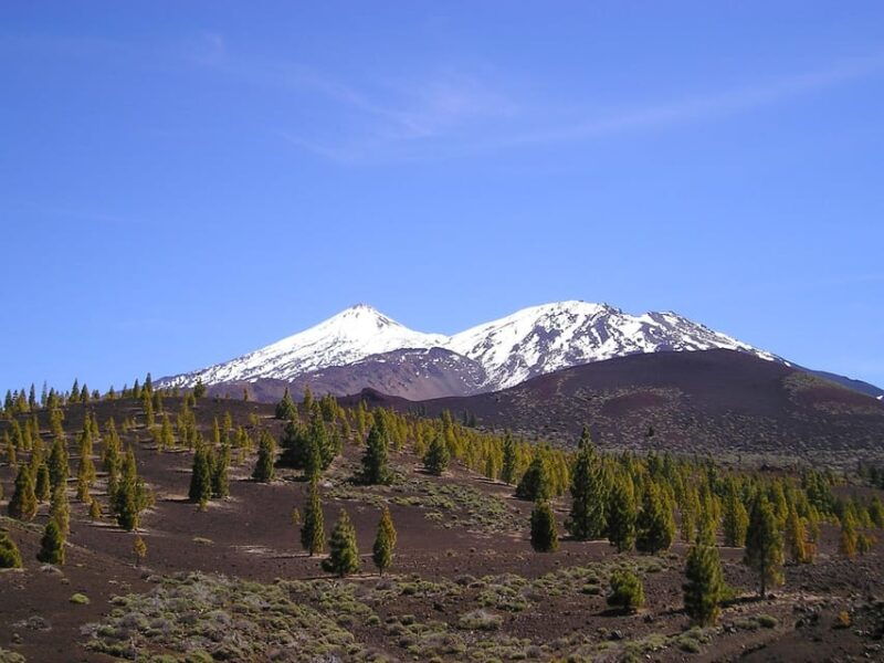 Collective Adventure: Travel & Volunteer in Tenerife - Key Points