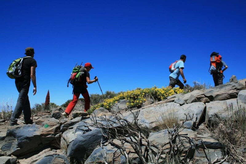 Collective Adventure: Travel & Volunteer in Tenerife - Purpose and Impact