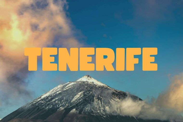 Collective Adventure: Travel & Volunteer in Tenerife - Accommodation and Dining