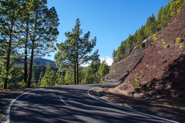 Collective Adventure: Travel & Volunteer in Tenerife - Cultural Immersion Activities