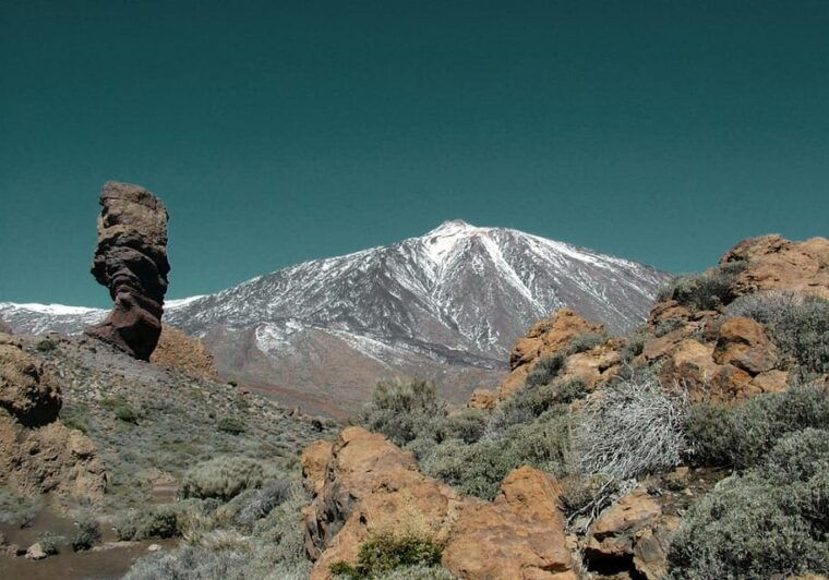 Collective Adventure: Travel & Volunteer in Tenerife - Volunteering Opportunities