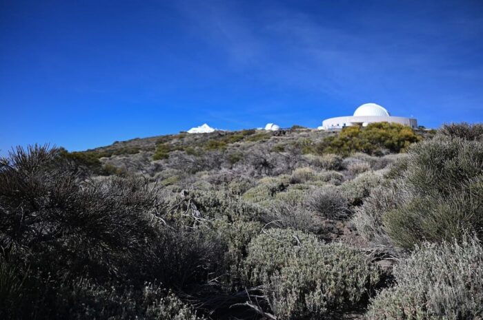 Collective Adventure: Travel & Volunteer in Tenerife - Preparation and Requirements