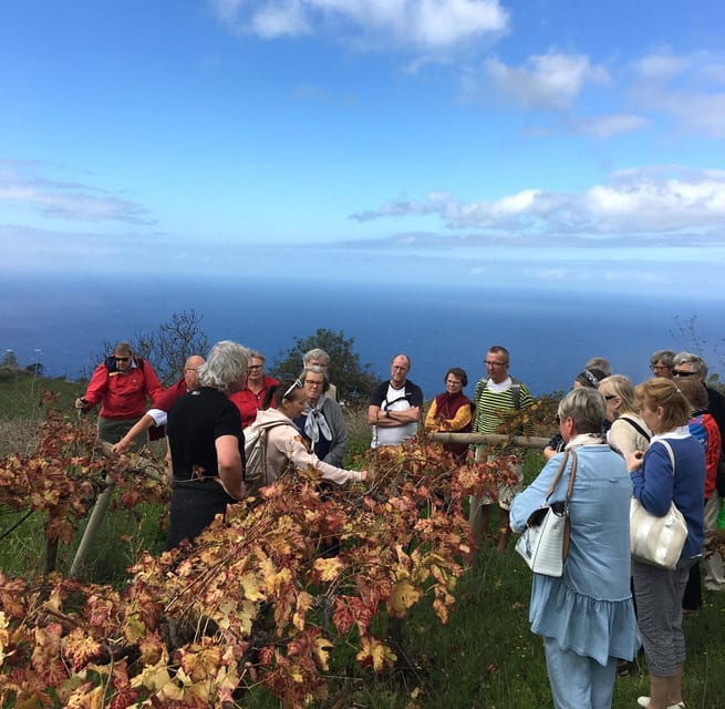 Collective Adventure: Travel & Volunteer in Tenerife - Booking and Logistics
